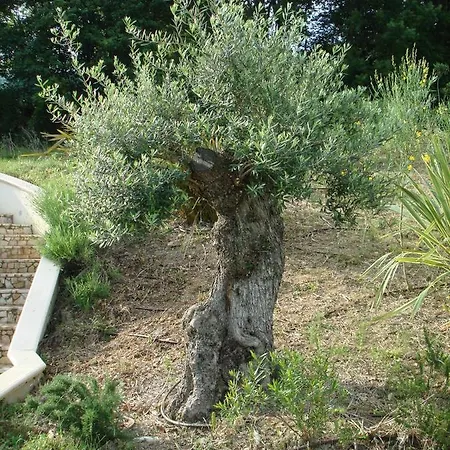 Panoramic Italy Villa *